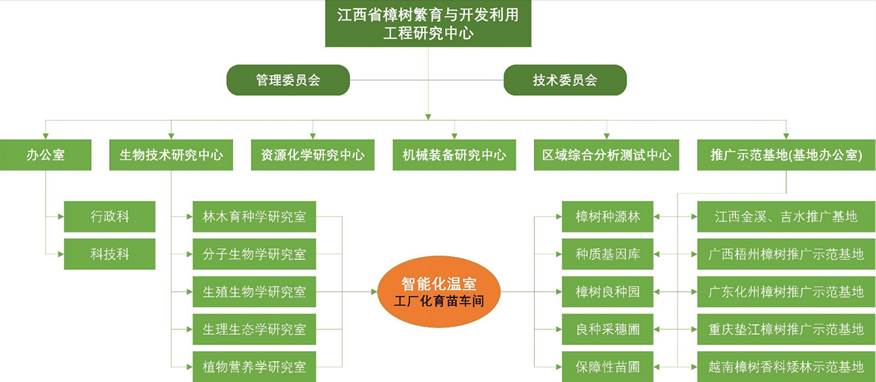 组织架构图（实施版）